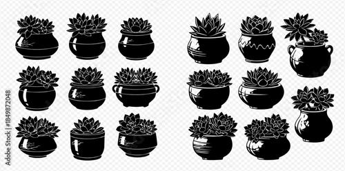 Collection of various succulent plants in different decorative pots, black silhouettes on transparent background.