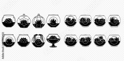 Collection of various terrariums with succulent plants in different glass containers and shapes.