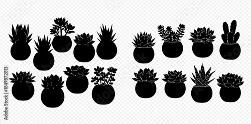 Collection of various succulent plant silhouettes in round pots, perfect for home decor and garden designs.