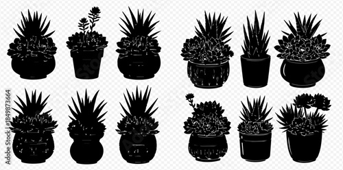 Collection of various potted succulent plants in black silhouette on transparent background.