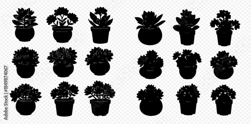 Set of potted plant silhouettes, different shapes and sizes, isolated on transparent background.