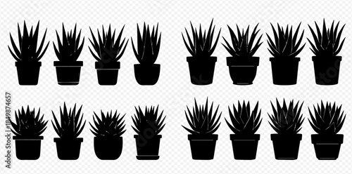 Collection of various potted succulent plants and houseplant silhouettes on a transparent background.