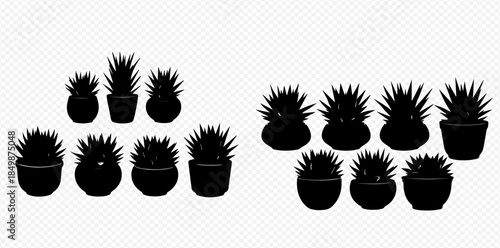 Collection of various potted succulent plants in silhouette on a transparent background.