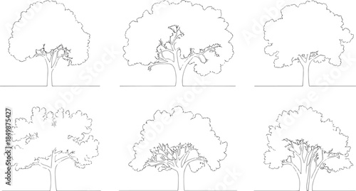 Tree Silhouette Set – Deciduous Tree Icons and Landscape Symbols in Black and White on Light Background