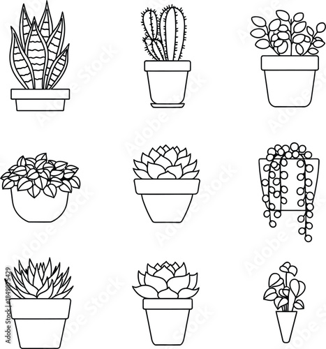 Nine black and white potted plants isolated on transparent background featuring various species and pot styles