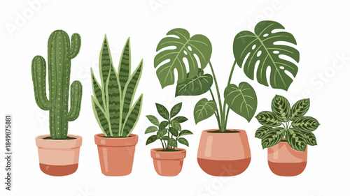 Houseplants in Terracotta Pots: Charming Illustrations of Monstera, Cactus, Snake Plant, and More for a Stylish Home Decor