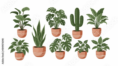 Tropical Plants in Earthy Pots: Beautiful Illustrations of Monstera, Cactus, and More for a Fresh Home Decor Vibe