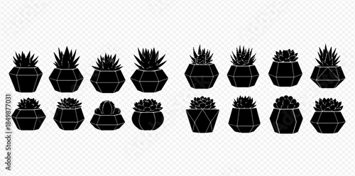 Collection of various succulent plants in geometric pots, black silhouettes on transparent background.
