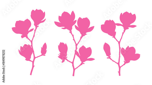 A grouping of magnolia twigs in bloom. Flowers in various colors set on a white background.


