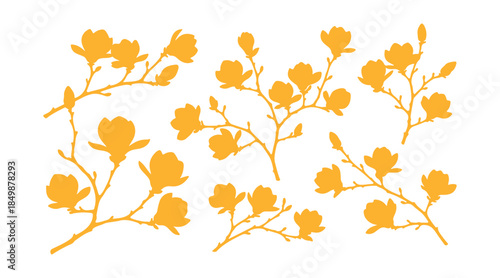 A bunch of blooming magnolia twigs. Colored flower silhouettes standing out against a white background
