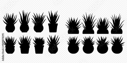 Collection of various potted houseplant silhouettes and garden grass icons on transparent background.