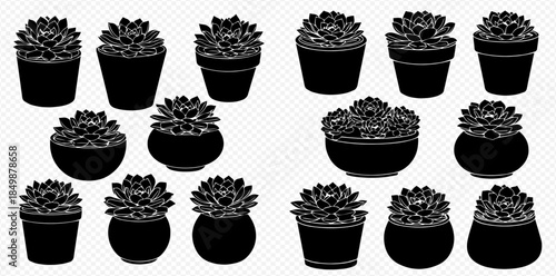 Collection of various succulent plants in different pots, black and white silhouettes on a transparent background.