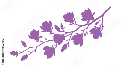 A collection of twigs with blooming magnolias. Bright flowers isolated on a white backdrop.

