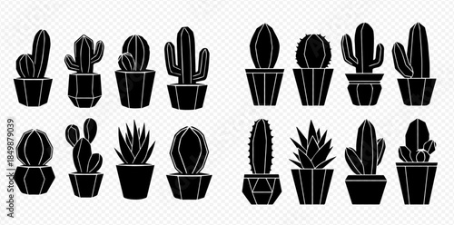Collection of black silhouette cactus and succulent plants in pots, isolated on transparent background, for home decor.