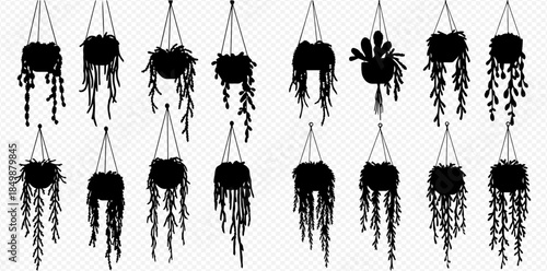 Set of hanging potted plants silhouettes, various indoor and outdoor decorative foliage for home and garden.