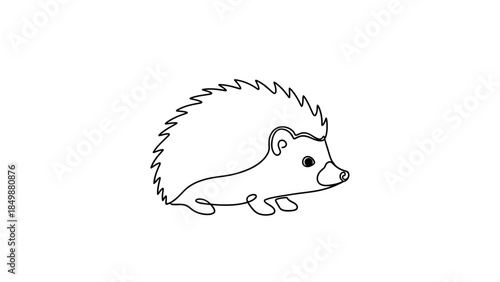 Cute hedgehog walking on white background, prickly spines raised