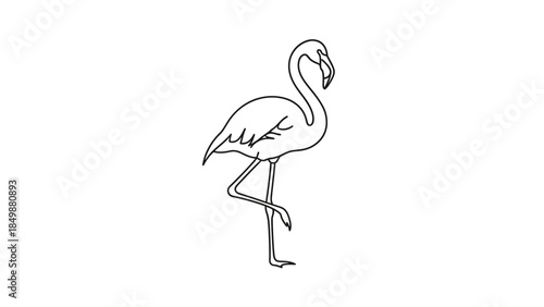 Elegant flamingo standing in profile with one leg forward