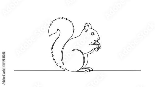 Cute squirrel eating a nut in simple line art style