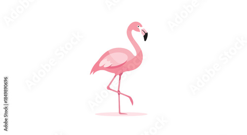 Delicate flamingo standing gracefully on one leg against a minimalist white backdrop