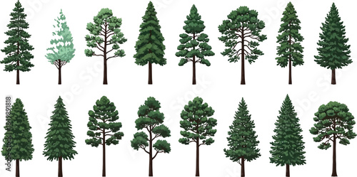 A collection of 3d rendered tree models