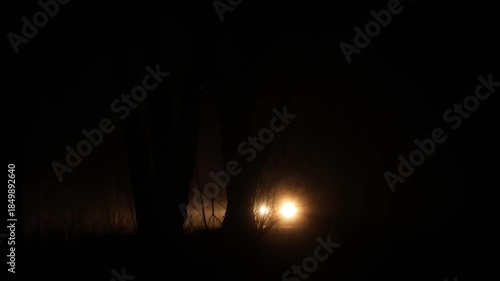 A car from side driving behind trees on a road with fog. Traffic background
