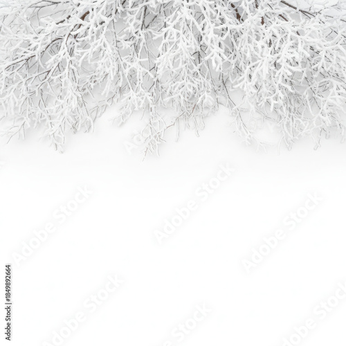 Snow covered tree branches hanging over a snowy landscape