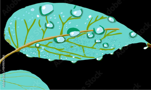 A leaf with waterdrops, on the right hand side is a small leaf.