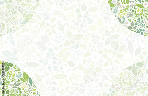 ハーブ柄のパターン　プレゼンテーション用の背景