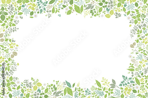 ハーブ柄のパターン　天地左右囲みフレーム