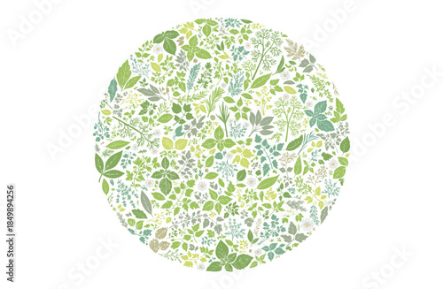 ハーブ柄のパターン　円形に敷き詰めた構成