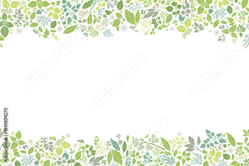 ハーブ柄のパターン　天地で挟んだフレーム