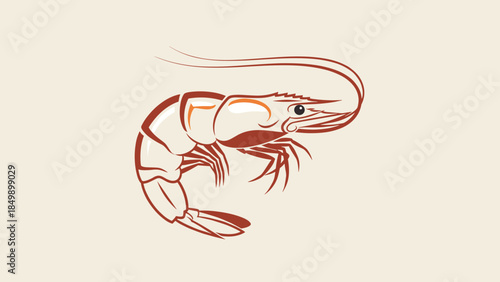 Detailed Illustration of Shrimp Seafood.