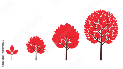 Illustrative depiction of a tree's growth stages from a seedling to a fully mature tree, showcasing development over time.