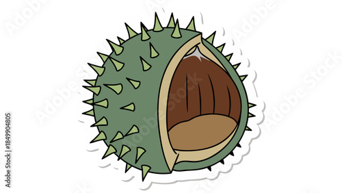 acorn on white background