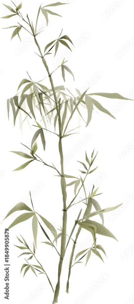 Fototapeta premium bamboo leaves isolated vector illustration