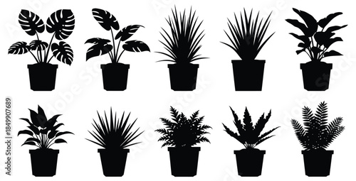 Collection of ten distinct potted houseplant silhouettes perfect for minimalist botanical design projects
