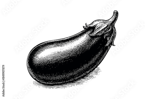 A detailed black and white engraving of a single eggplant isolated on a white background, showcasing its texture and form with crosshatching.
