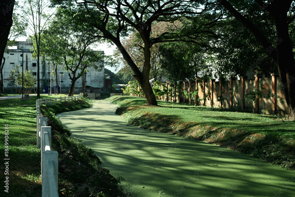 Obraz premium Quiet green canal flowing through city park