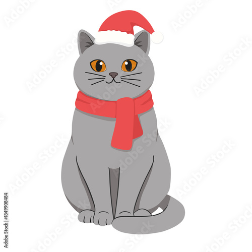 Cute Gray British Shorthair Cat Wearing Santa Hat and Red Scarf, Vector Illustration for Christmas Holidays, Greeting Cards, and Children's Textile Design