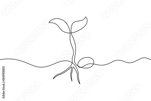 Continuous one  line drawing of a small plant sprout from a seed on white background