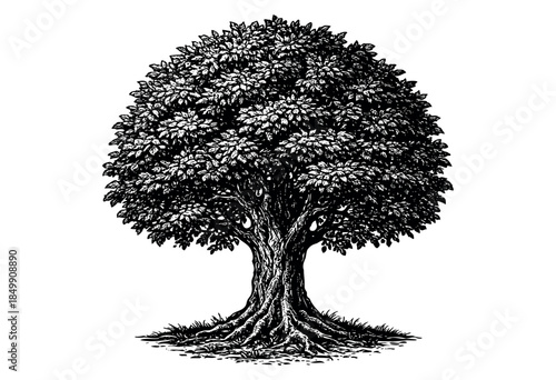 A striking black and white illustration of a mature tree with detailed roots and lush foliage, perfect for adding a classic, natural element to designs.
