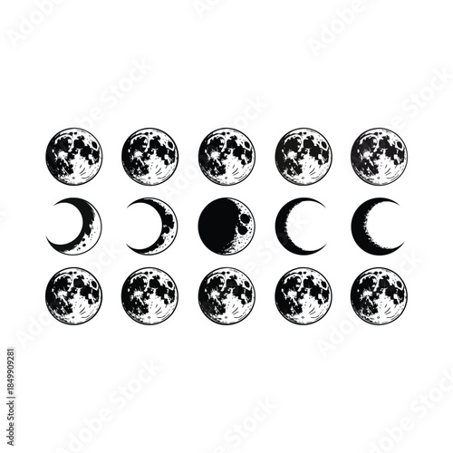 Black and white illustration depicting all eight phases of the lunar cycle