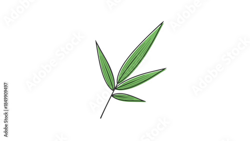 Green cannabis leaves illustration on white.