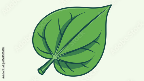 Green Leaf Illustration with Dark Veins 1.