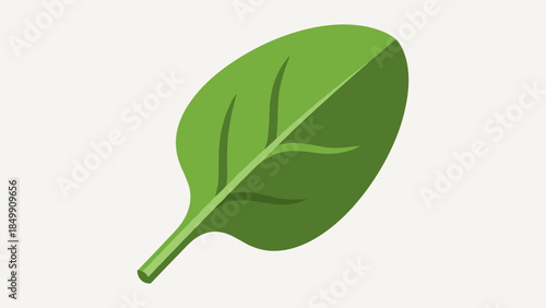 Green Leaf Illustration with Stem and Veins.