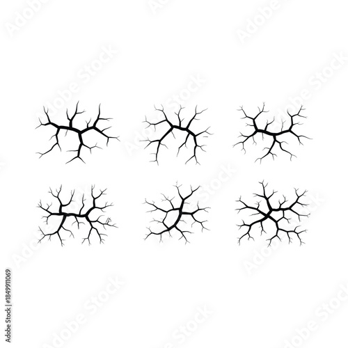 Arrangement of cracked surface patterns resembling branching roots or lightning
