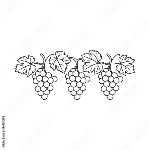 A black and white illustration of three bunches of grapes with leaves