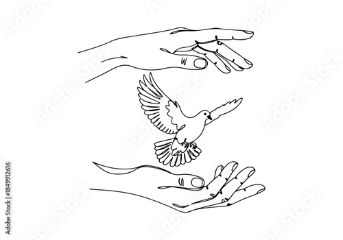 Peace Dove flying between two open hands continuous line drawing art illustration