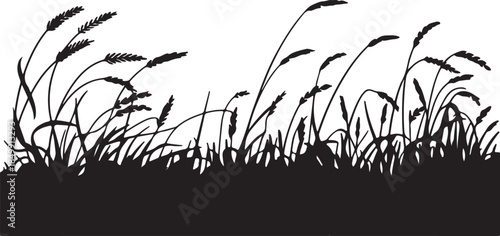 Silhouette of wheat field and grass on transparent background agricultural landscape element for country farm scenes