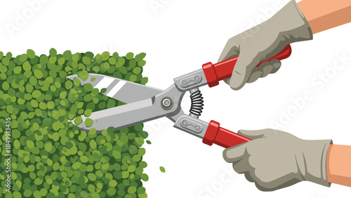Hands using red handled hedge shears to trim a lush green bush, demonstrating garden maintenance and landscaping techniques.